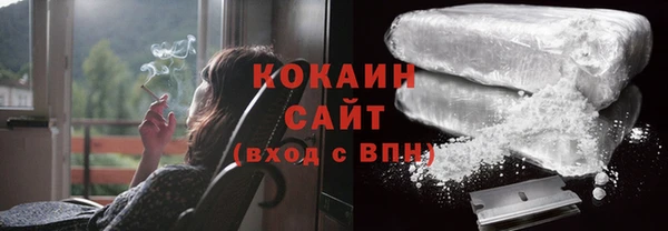 соль ск Алзамай