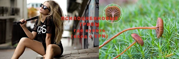 гашик Алексеевка